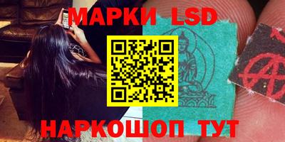 шишки Камышлов