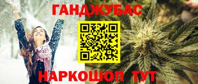 шишки Камышлов