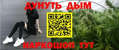 шишки Камышлов