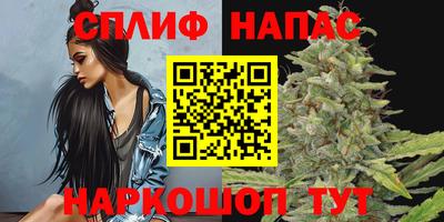 шишки Камышлов