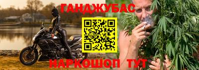 шишки Камышлов