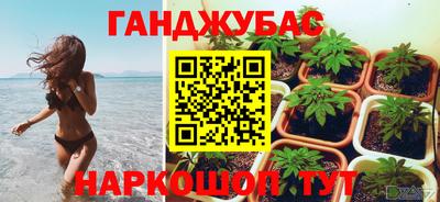 шишки Камышлов