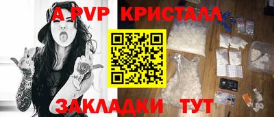 шишки Камышлов