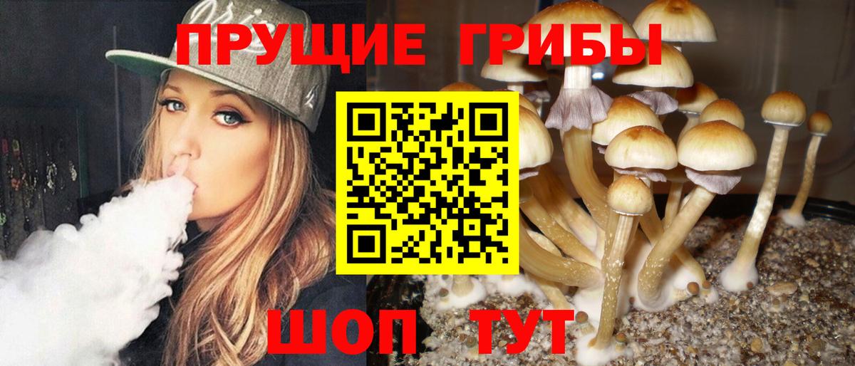 Галлюциногенные грибы GOLDEN TEACHER Омск
